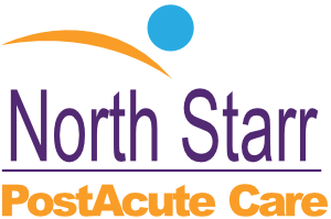 north starr logo